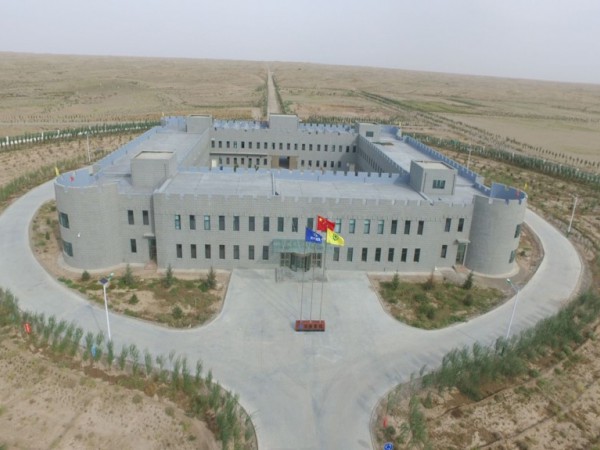 中國綠色碳匯基金會調研甘建投工程與生物治沙試驗基地