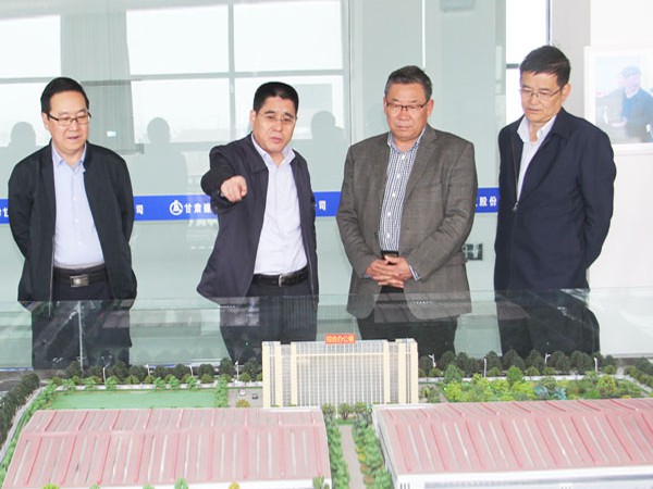 武威市政協(xié)副主席沈渭富調(diào)研新能源公司