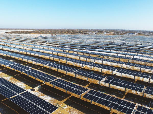 寒潮擋不住的建設(shè)熱潮 ——新能源公司羊老大50MWp光伏電站項(xiàng)目建設(shè)如火如荼進(jìn)行