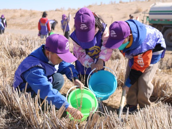 甘肅建投新能源公司沙漠研學旅行基地舉辦“我與小樹共成長，爭做護綠小使者”主題研學活動