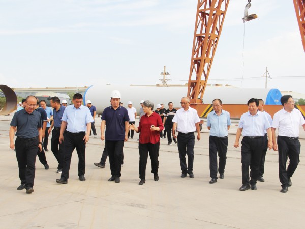 武威市委副書記、市長馬秀蘭一行調(diào)研甘肅建投新能源公司