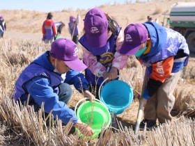 甘肅建投新能源公司沙漠研學(xué)旅行基地舉辦“我與小樹共成長，爭做護(hù)綠小使者”主題研學(xué)活動