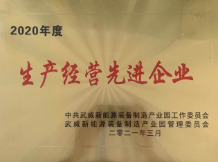 2020年度武威市新能源裝備產(chǎn)業(yè)園生產(chǎn)經(jīng)營先進(jìn)企業(yè)
